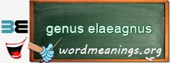 WordMeaning blackboard for genus elaeagnus